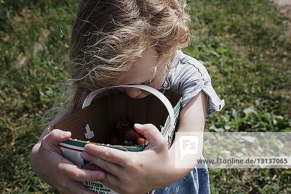 Hochwinkelaufnahme eines süßen Mädchens  das einen Korb mit Erdbeeren hält  während es auf einem Grasfeld steht