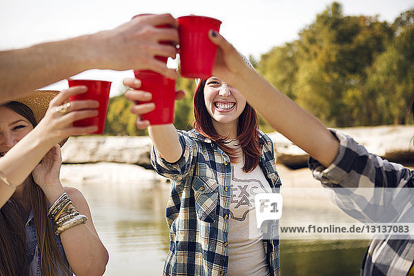 Friends toasting beer cups against lake forest