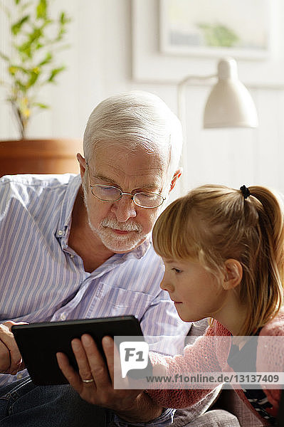 Grandfather and granddaughter using tablet computer while studying at home