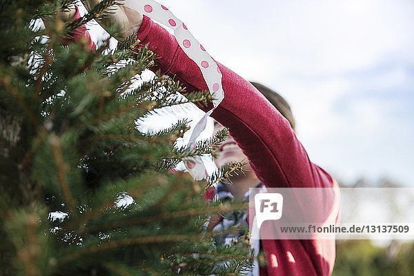 Woman tying ribbon on pine tree in farm against sky