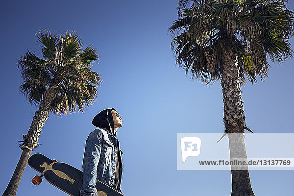 Niedrigwinkelansicht eines Mannes  der ein Skateboard inmitten von Palmen vor klarem blauen Himmel hält
