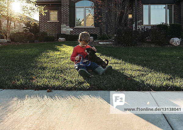 Junge spielt mit Hund auf Grasfeld im Hinterhof