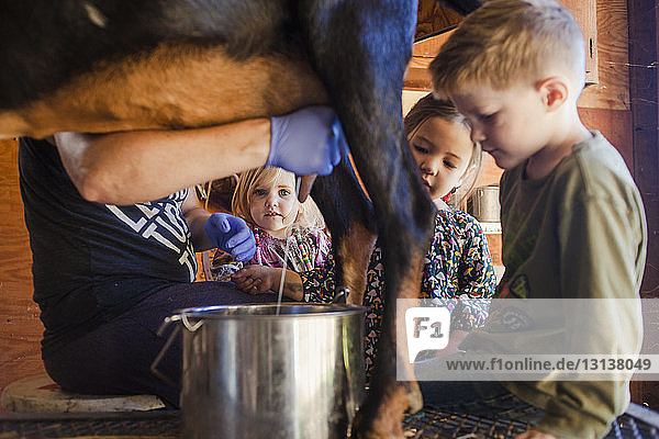 Kinder sehen Bauern beim Melken von Ziegen auf dem Bauernhof