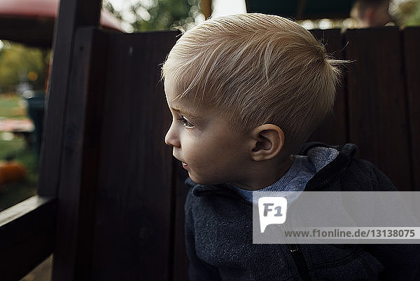 Close-up of boy looking away while sitting on outdoor play equipment
