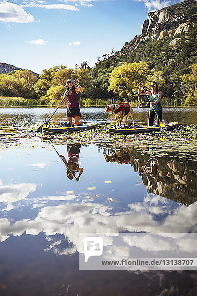 Happy friends with dog paddleboarding in lake by mountain