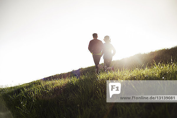 Rückansicht von Freunden  die bei Sonnenuntergang auf einem Grasfeld laufen
