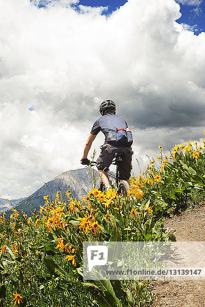 Man cycling amidst plants towards mountain against cloudy sky