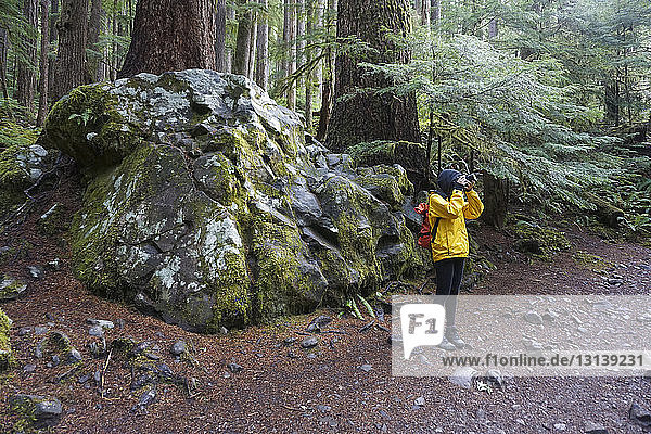 Female hiker photographing in forest