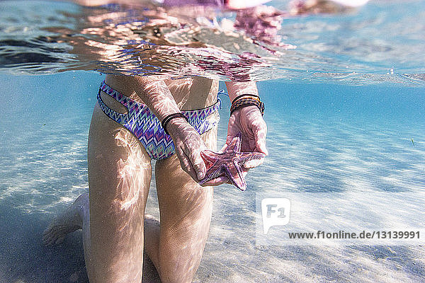 Low section of woman holding starfish while kneeling in sea