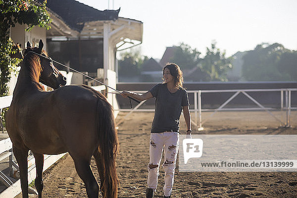 Frau berührt Pferd mit Tierpflegeausrüstung  während sie auf der Ranch steht