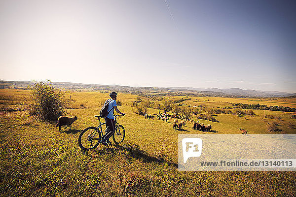 Side view of man on bicycle in field against clear sky