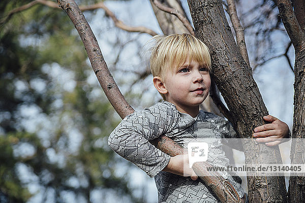 Boy looking away while standing on tree
