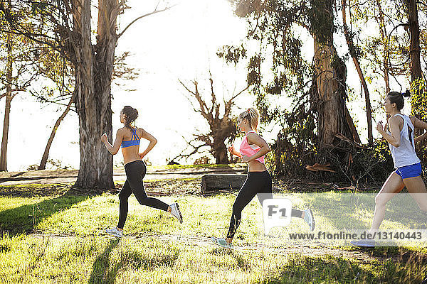 Female athletes jogging by trees on field against clear sky