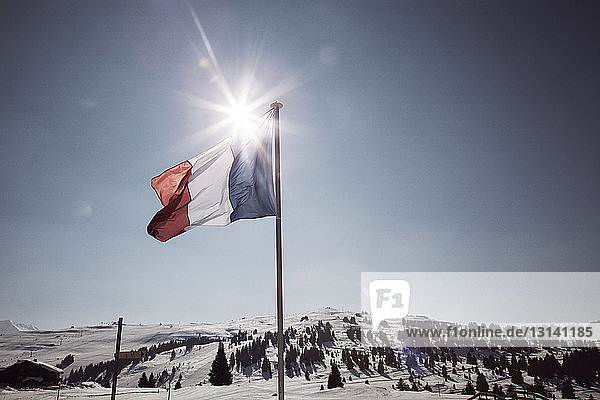 Französische Flagge auf schneebedecktem Feld gegen den Himmel am sonnigen Tag