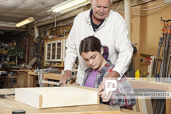 Carpenter assisting girl in making wooden shelf