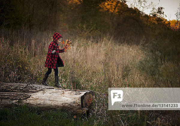 Side view of girl holding leaves while walking on log at park