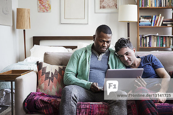Multi-ethnic homosexual males using laptop on sofa at home