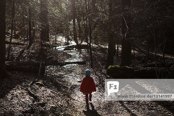 Rückansicht eines Mädchens mit rotem Umhang beim Waldspaziergang