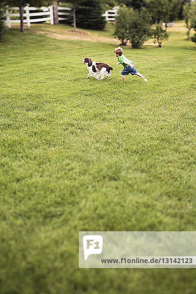 Junge spielt mit Hund auf Grasfeld im Park