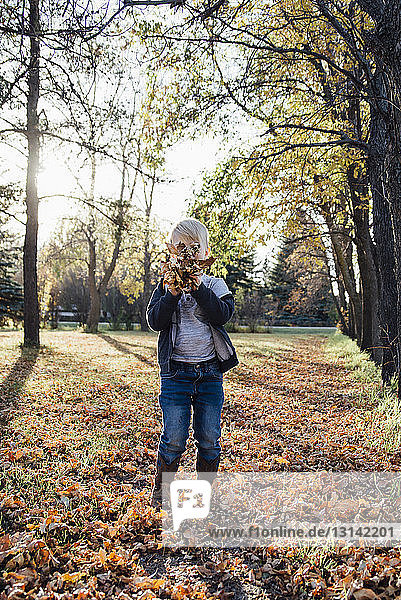 Playful boy holding autumn leaves against his face at park