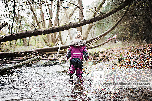 Rear view of girl walking on stream at forest