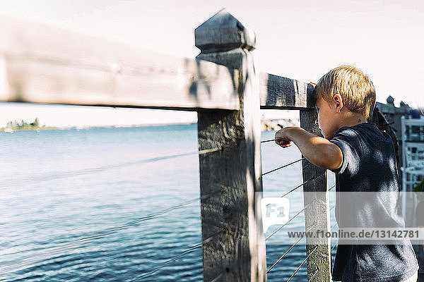 Seitenansicht eines Jungen  der durch einen Holzzaun auf die Großen Seen schaut