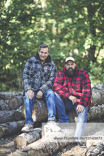 Porträt von Freunden auf Baumstämmen im Wald sitzend