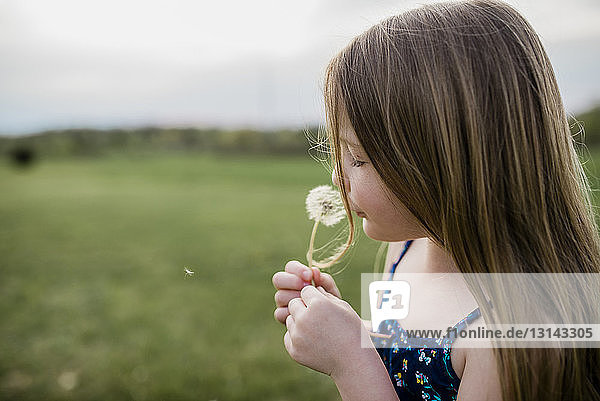 Seitenansicht eines Mädchens mit Löwenzahnblume auf Grasfeld