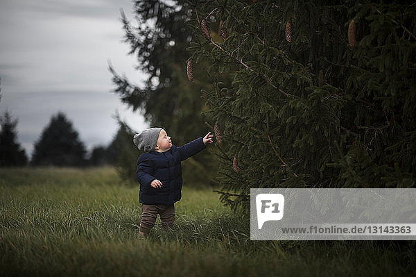 Cute baby boy standing by pine tree on field at park