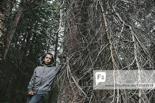 Nachdenklicher Junge schaut weg  während er an einem Baum im Wald steht