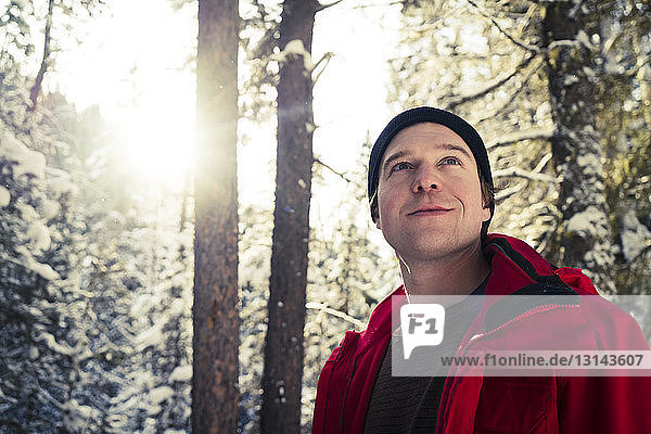 Low angle view of male hiker looking away while standing in forest