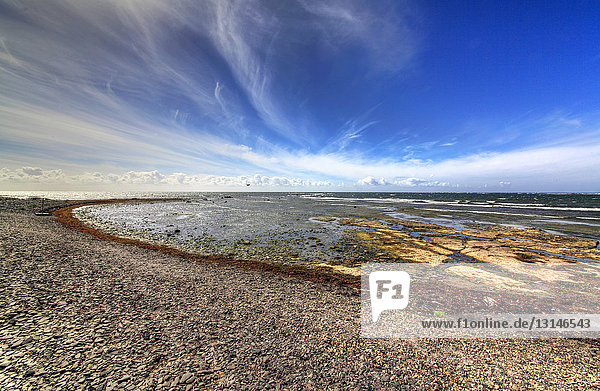 Strand Öland Götaland Schweden Europa