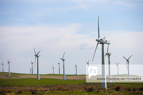 View of wind turbines.