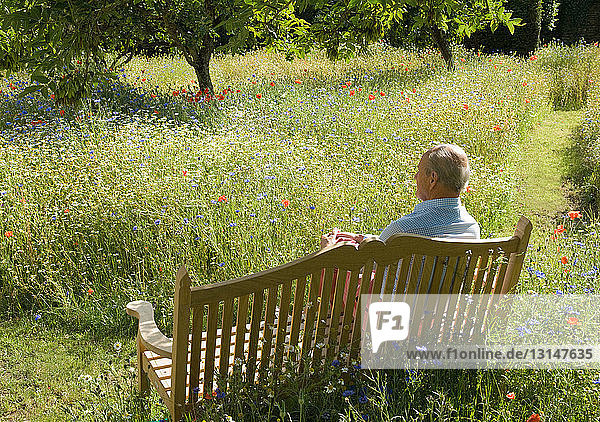 Älterer Mann sitzt auf einer Parkbank