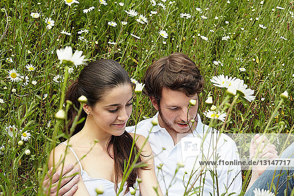Couple relaxing in field of flowers