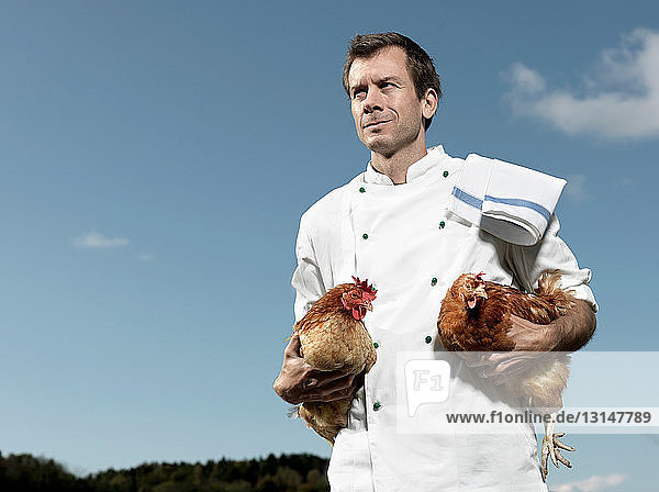 Chef holding hens