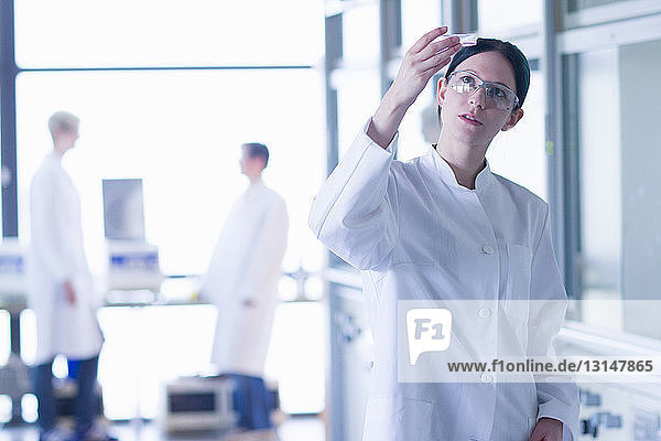 Chemiestudent bei der Untersuchung einer Chemikalie im Labor