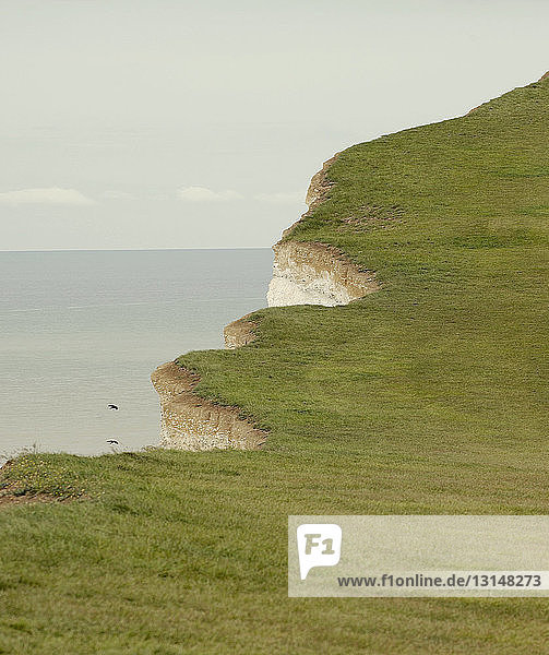 Grassed chalk cliff top with broken edge  Eastbourne  Uk
