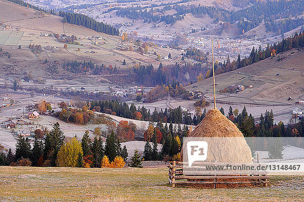 Haystack  Krasnik village area  Carpathian Mountains  Ivano-Frankivsk region  Ukraine