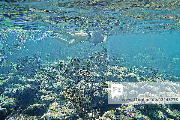 Snorkeler swimming underwater over coral