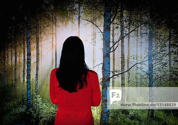 Rückansicht einer Frau vor einem Walddruck an der Wand