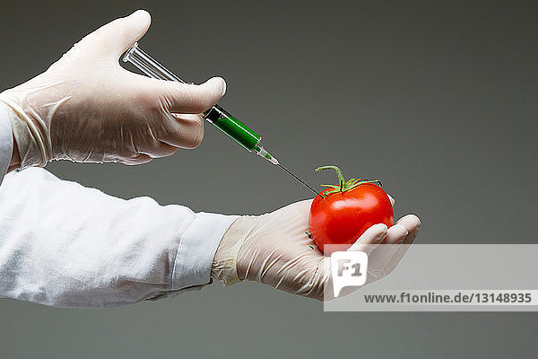 Scientist injecting tomato with syringe