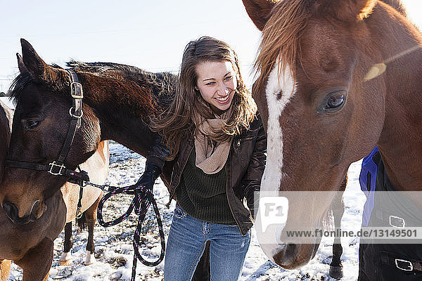 Junge Frau mit Pferden im Winterfeld