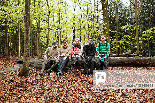 Lächelnde Freunde sitzen in einem Baumstamm im Wald