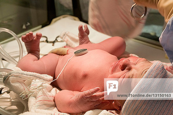 Neugeborenes Baby im Krankenhausbettchen
