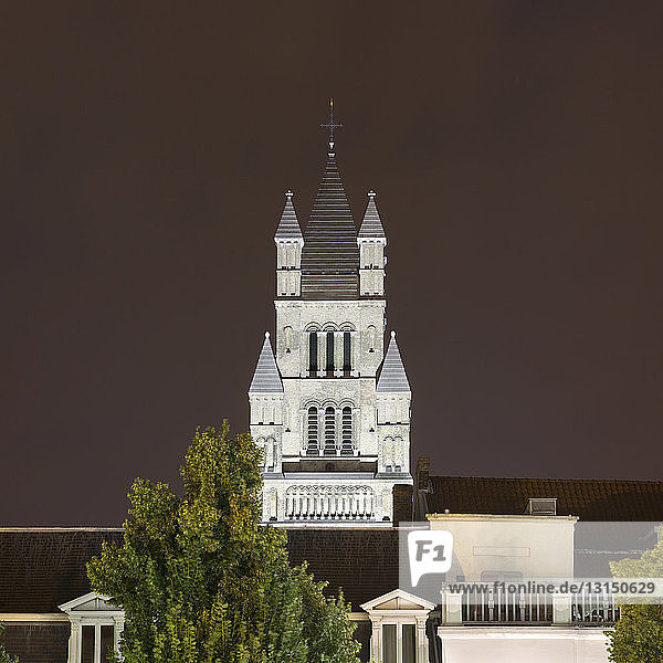 Kathedrale des Heiligen Erlösers  Brügge  Belgien