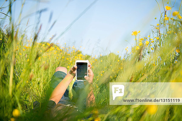 Boy lying in long grass playing on smartphone