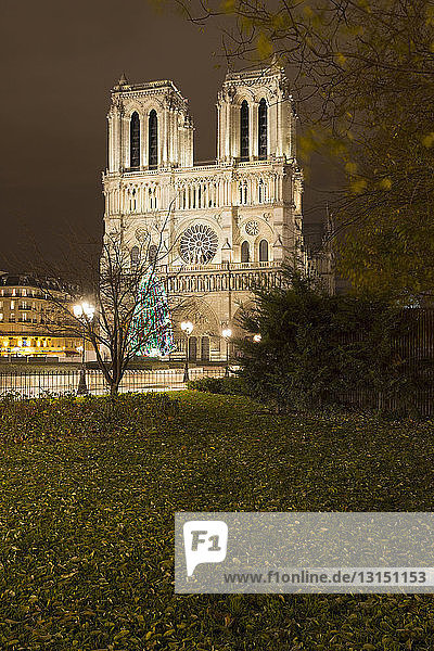 Blick auf die beleuchtete Kathedrale Notre Dame bei Nacht  Paris  Frankreich