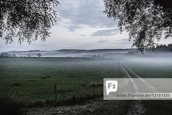 View of morning mist over fields  Bad Tolz  Bavaria  Germany