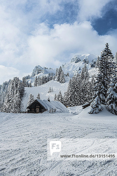 Snow covered cabin in wintry landscape  Lenggries  Bayern  Germany